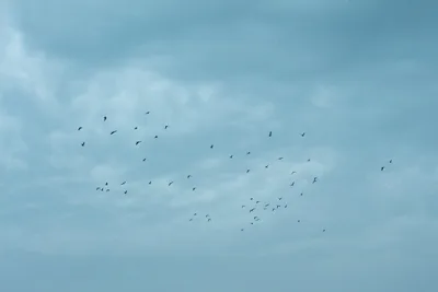 Abitanti del cielo