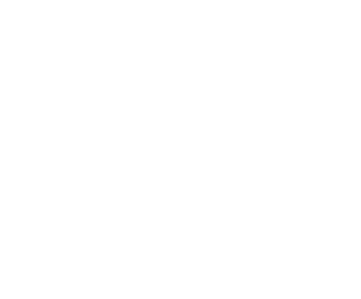Polisplend Facility Management