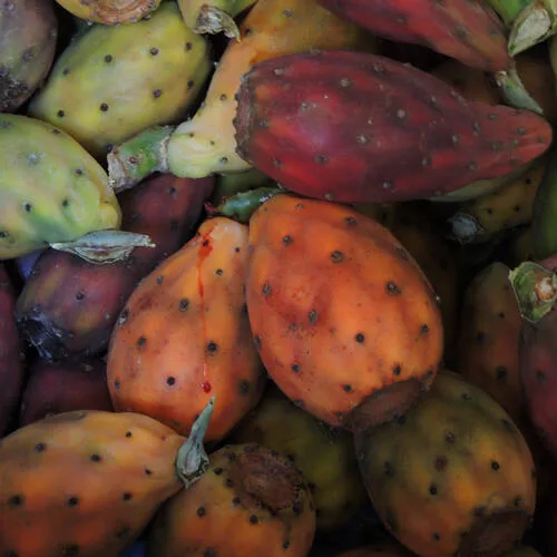 Colori che profumano di Sicilia Marzia D'Angelo Fotografia Digitale