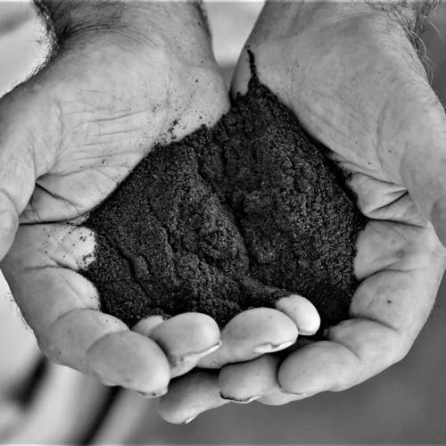 Misurare la vita in cucchiaini di caffè Silvia Seminato