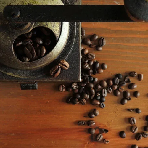 Ceux-ci ne sont pas des grains de cafè! - Questi non sono dei chicchi di caffè! Marzia D'Angelo