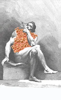 Flammulina Velutipes su Fragonard Antonella Barba Fotoscultura su Dibond Carta Cotone Fine Art 40x65cm 2017