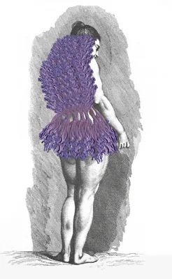 Clavulina Amethystina su Cochin Antonella Barba Fotoscultura su Dibond Carta Cotone Fine Art 40x65cm 2017