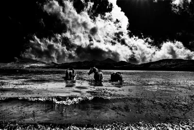 The Lake Filippo Papa 2013