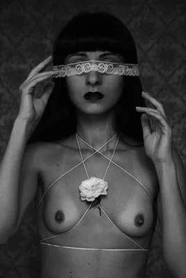 White rose 5 Giusy Grande Fotografia digitale 2017