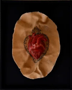 Cuore Sacro Alessandra Castronuovo cera, gesso, ciore tatuato, legno 46x 36,5x9cm 2018